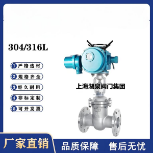 Z941W-16P，DN250，CF8/F304不銹鋼電動閘閥